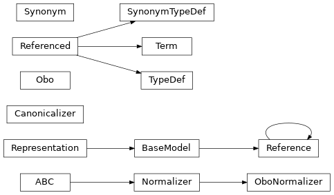 Inheritance diagram of pyobo.xrefdb.canonicalizer.Canonicalizer, pyobo.struct.struct.Obo, pyobo.normalizer.OboNormalizer, pyobo.struct.reference.Reference, pyobo.struct.struct.Synonym, pyobo.struct.struct.SynonymTypeDef, pyobo.struct.struct.Term, pyobo.struct.typedef.TypeDef